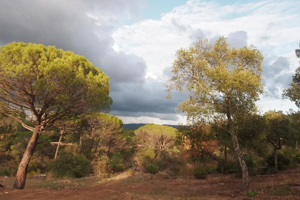 Le Mas Du Rouquan Bed & Breakfast Vidauban